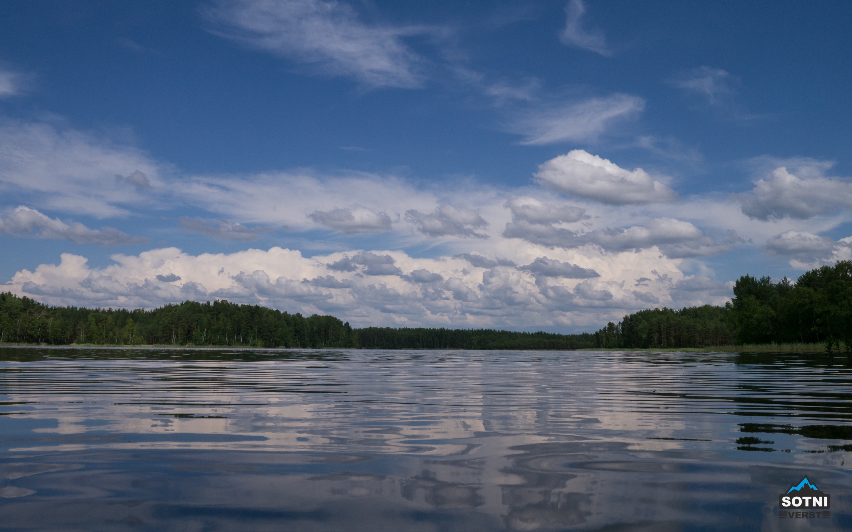 Озеро Боруй со стороны деревни Озеревичи